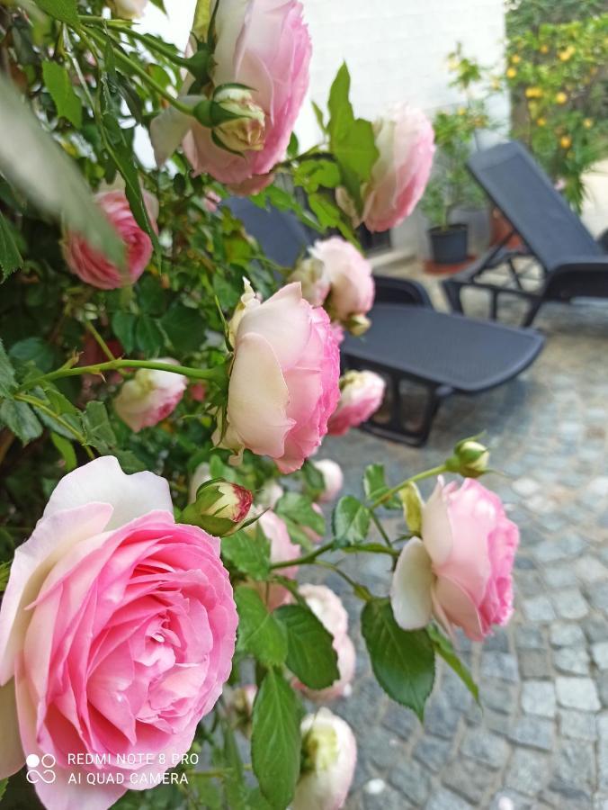 D'Or Duble' Bed And Breakfast Carignano  Ngoại thất bức ảnh